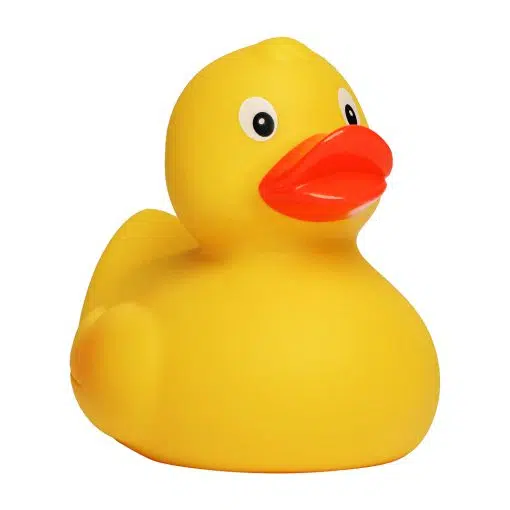 Kvakky Duck - klassisk (2 varianter)