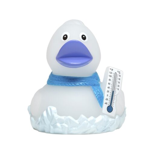 Kvakky Duck - frosty