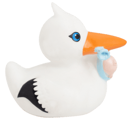 Badeand-stork med baby