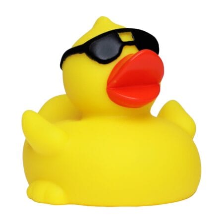 Kvakky Duck - solbriller