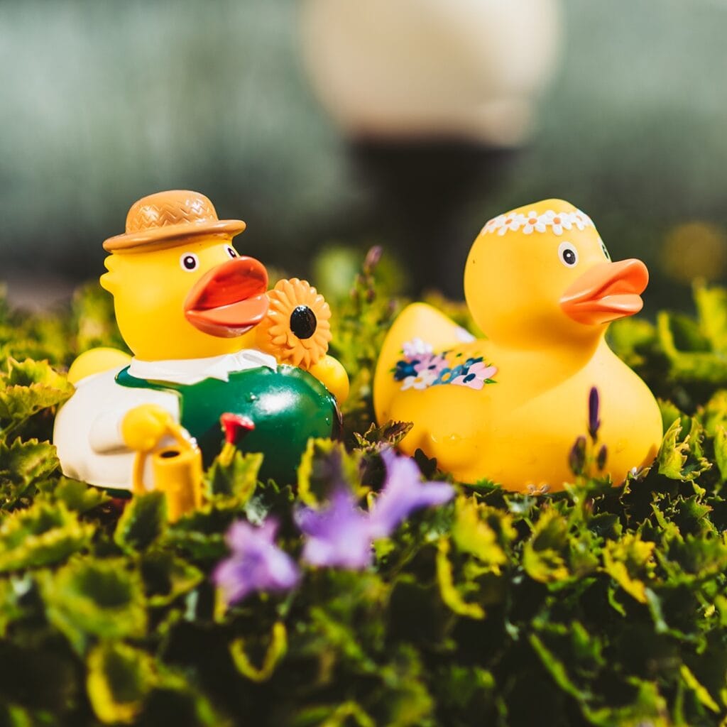 Badeand Gartner – Kvakky Duck